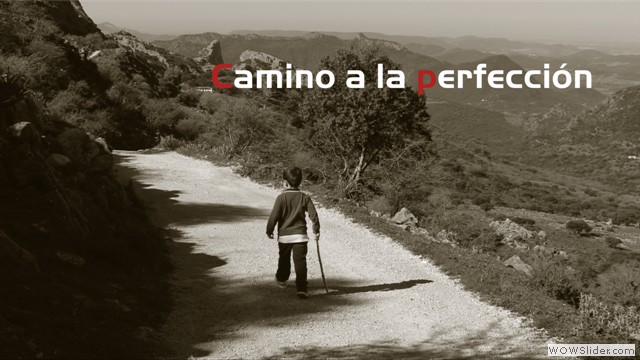 camino a la perfección